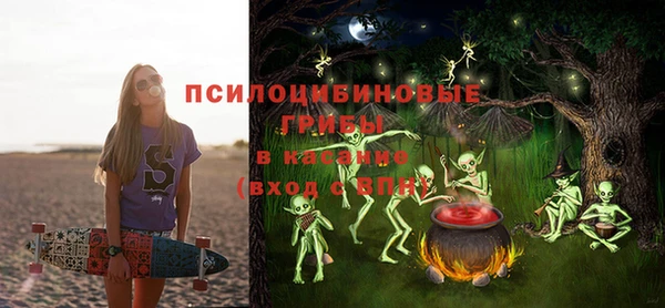 spice Верхний Тагил